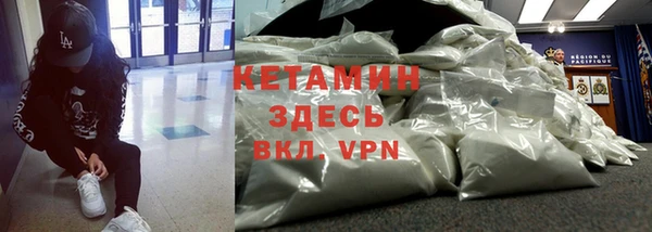 крисы Алексин